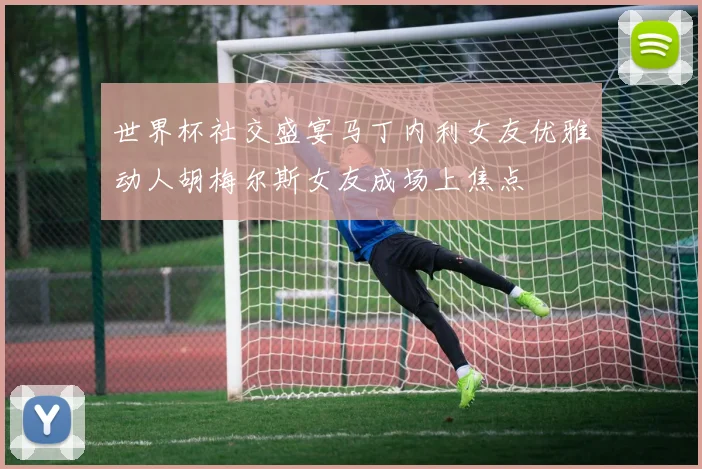 世界杯社交盛宴马丁内利女友优雅动人胡梅尔斯女友成场上焦点