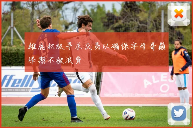 雄鹿积极寻求交易以确保字母哥巅峰期不被浪费